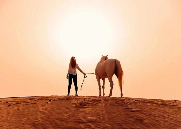In Luxury hotels Al Wathba, A Luxury Collection Desert & Spa, Abu Dhabi